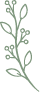 Illustration d'une branche de mimosa – Élément graphique du site de Noémie Herbert, photographe à Lyon